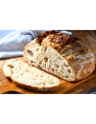 Molino Dallagiovanna Bread Flour Sourdough Extra Quality 25 KG