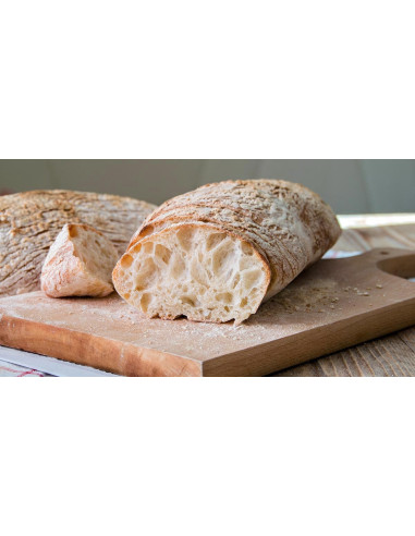 Molino Dallagiovanna Bread Flour Sourdough Extra Quality 25 KG