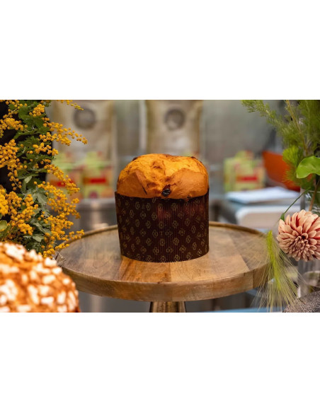 แป้งปาเน็ตโตเน่  Molino Dallagiovanna Panettone flour 5 KG