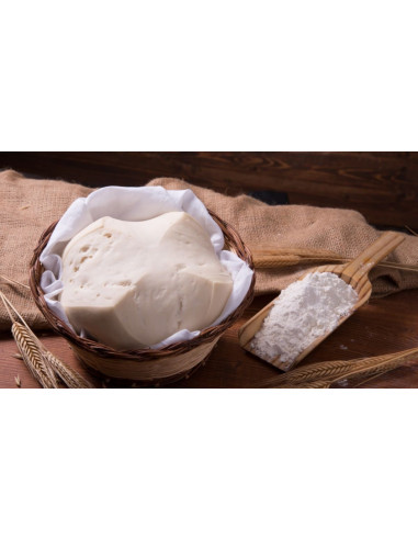 แป้งสาลีสำหรับทำยีสต์แม่ ซาวร์โดว์ Molino Dallagiovanna Refresh Yeast