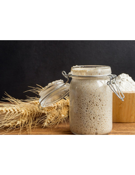 แป้งสาลีสำหรับทำยีสต์แม่ ซาวร์โดว์ Molino Dallagiovanna Refresh Yeast