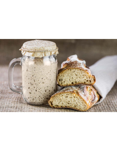 แป้งสาลีสำหรับทำยีสต์แม่ ซาวร์โดว์ Molino Dallagiovanna Refresh Yeast
