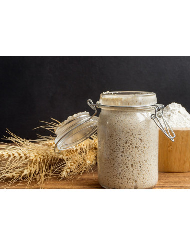 แป้งสาลีสำหรับทำยีสต์แม่ ซาวร์โดว์ Molino Dallagiovanna Refresh Yeast
